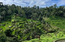Bali private Shore Excursion from Benoa Port - All Inclusive