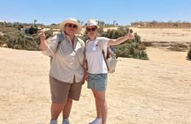 Private Full-Day Tour to Fayoum Oasis from Cairo