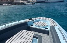4 Hours Private Speed Boat To Dolphin House And White Island