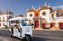 Seville Tuk Tuk Private Discovery Tour & Highlights