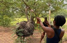 Shai Hills Safari Reserve and Akosombo Boat Cruise day tour