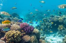 Cancun Speedboat Jungle Tour: Snorkel & Mayan Ceremony