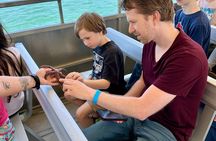 Saltwater Marsh Eco Shelling Tour in Murrells Inlet, SC