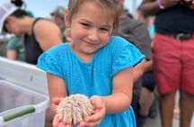 Saltwater Marsh Eco Shelling Tour in Murrells Inlet, SC