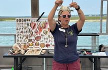 Saltwater Marsh Eco Shelling Tour in Murrells Inlet, SC