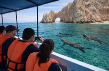 Private Glass Bottom Boat Tour to El Arco and Lover's Beach