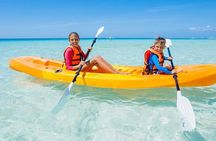 Guided Mangrove Tunnel Kayak Tour at Lido Key
