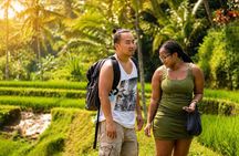 Best of Ubud & Tanah Lot Sunset Private Tour
