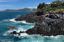 Jeju WestSouth One Day Authentic Tour with MT.Halla & UNESCO