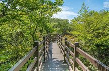 Jeju WestSouth One Day Tour with MT.Halla & UNESCO