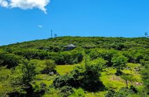 Jeju WestSouth One Day Tour with MT.Halla & UNESCO