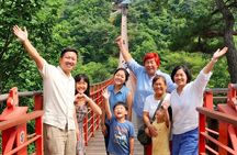 Seoul City Highlights Tour: Hanok Village, Scenic Routes