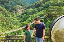 Seoul City Highlights Tour: Hanok Village, Scenic Routes