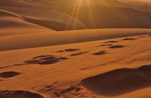Tour from Ouarzazate to Vallee Du Draa and Dunes Of Tinfou