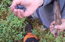 Midnight Sun Nature Experience at Pattaskivalo