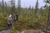 Midnight Sun Nature Experience at Pattaskivalo