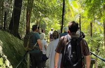 Sydney to Blue Mountains Private Day Tour with Irene