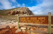 Table Mountain Cape of Good Hope and Boulders Beach Tour