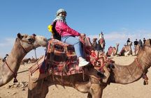 Private Giza Pyramids Tour with Egyptologist Guide