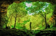 Jeju Island SouthEast Unesco Mt.Halla One day Bus Tour