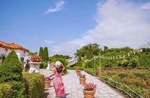 Jeju Island SouthEast Unesco Mt.Halla One day Bus Tour