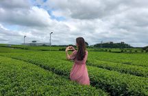 Jeju Island South UNESCO Highlights Day Tour With Mt Halla