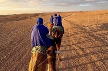 Private Agafay Desert Experience Camel Ride, Berber Dinner &Show