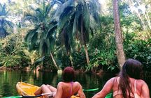 Punta Uva Wildlife Kayaking, Hike & Sloth Watching Tour