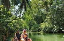 Punta Uva Wildlife Kayaking, Hike & Sloth Watching Tour
