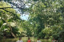 Punta Uva Wildlife Kayaking, Hike & Sloth Watching Tour