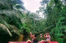 Punta Uva Wildlife Kayaking & Sloth Watching Tour