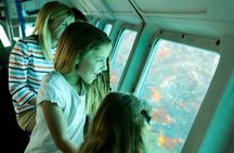 Undersea Expedition: Catalina Island Tour
