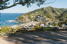 Scenic Golf Cart Tour Offered By Local Guides