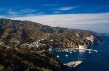 Discover Avalon: Catalina Scenic Tour
