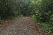 Hiking Pipeline Road
