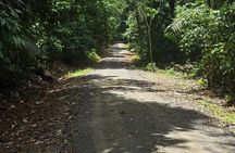 Hiking Pipeline Road