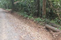 Hiking Pipeline Road