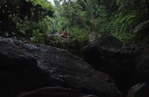 EL Yunque Waterfalls and Waterslide Beach Tour