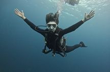 USAT Liberty Shipwreck Dive and Photography