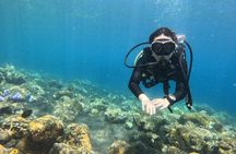 USAT Liberty Shipwreck Dive and Photography