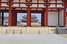 Nara City Private Bike Tour Experience