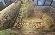 Nara City Private Bike Tour Experience