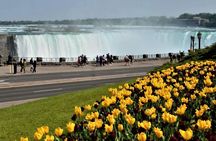 From Toronto to Niagara Falls Private Sightseeing Tour