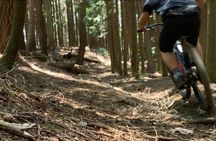 Osaka JaOsaka E-MTB Trail Ride: Katsuo-ji Temple & Pilgrim Trails