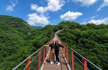 Small Group DMZ Highlight Tour MAX 10 with Suspension Bridge