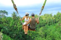 Ubud: Monkey Forest, Rice Terrace, Elephant Cave & Waterfall Tour