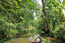 Gramam: Authentic Village Experience Tour in Kerala
