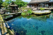 Mt. Fuji Customized Private Tour: See Top Attractions in 1 Day