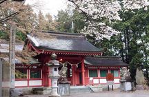 Mt. Fuji Customized Private Tour: See Top Attractions in 1 Day
