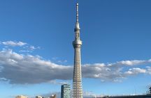 Tokyo Asakusa History Walk and Skytree Small Group or Private